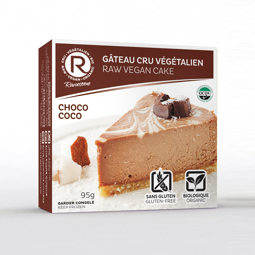 Choco coco raw vegan slice